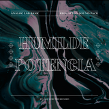 HUMILDE POTENCIA ANALOG LAB BANK